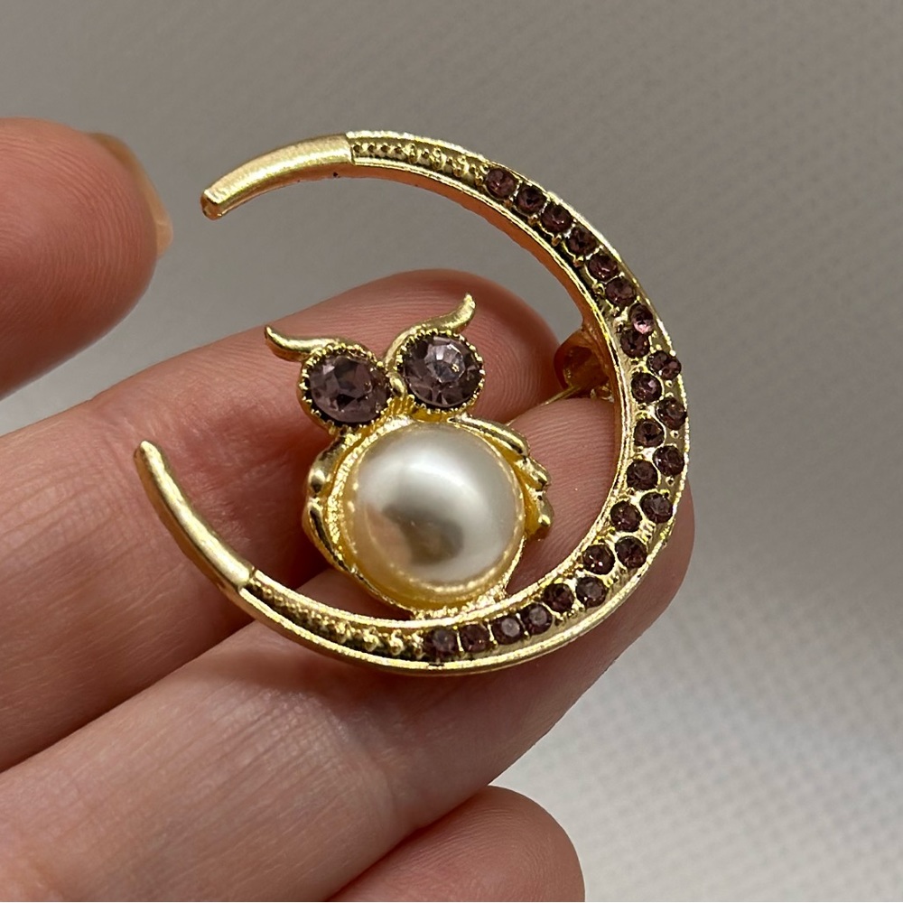 Brand new Owl Moon Brooch